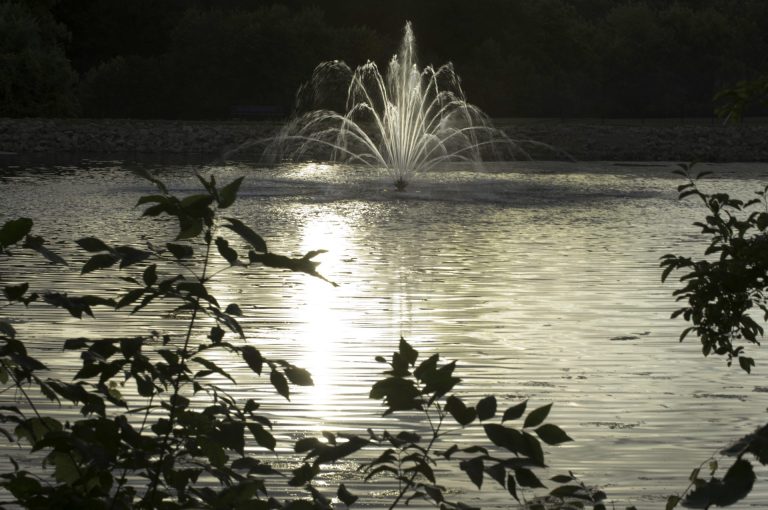 Water Fountain