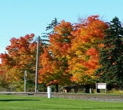 Mary Park Fall